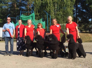 BEST IN SHOW BEST BREEDER Heinola FIN 2015 Judge:Juha Putkonen  AZAZELLO,EMMA FIONA, EMETTO & ETAAVIO